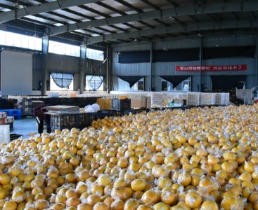 順豐快遞給手動液壓搬運車消毒，保障生鮮瓜果食品安全